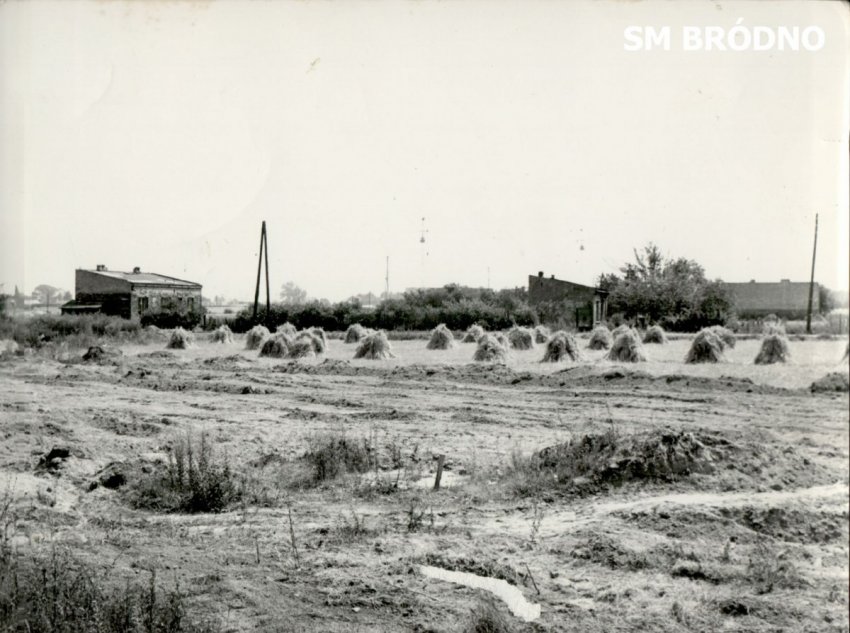 Bródno PGR