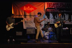 Beatlemania 2014